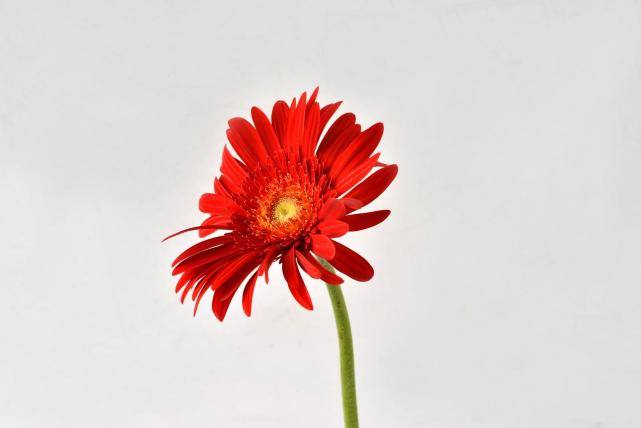 十二星座女温柔撒娇的表现,12星座男生对女生体贴度排行