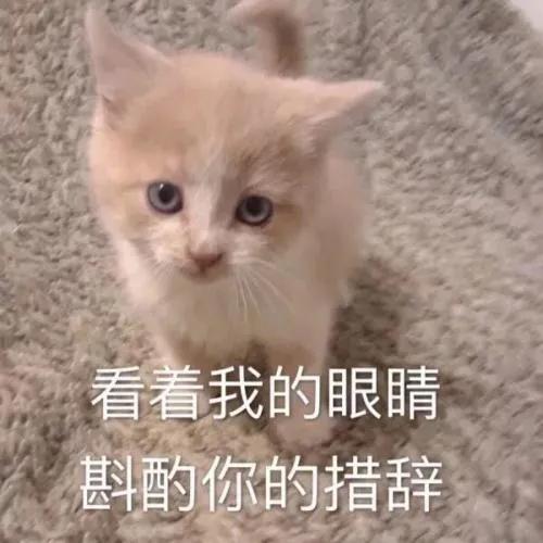 猫咪吃了蟑螂该给它吃什么药,猫咪每天给主人家门口送礼物