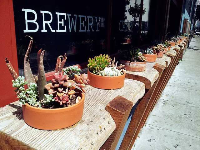 何其幸运开一家属于自己的花店,开了一家属于自己的花店