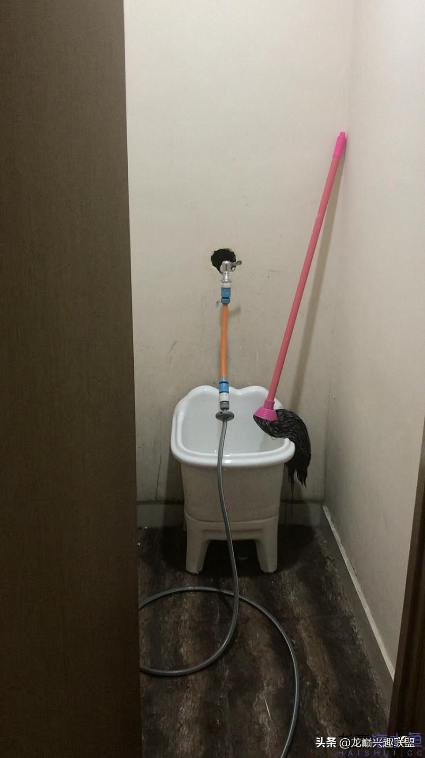 从零开始玩海缸的方法,从零开始玩海缸全过程