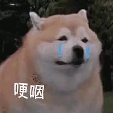 口服避孕药容易被误解,短效避孕药能改善皮肤吗