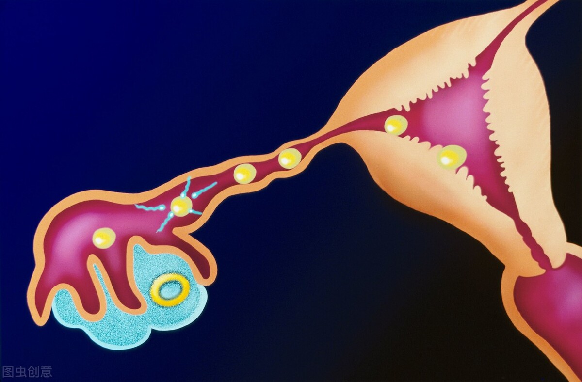 女性月经结束之后,什么时候是排卵期?哪几天又是安全期?