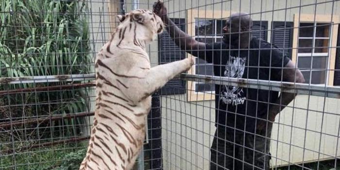 nba癖好库里,nba球星摆饰库里