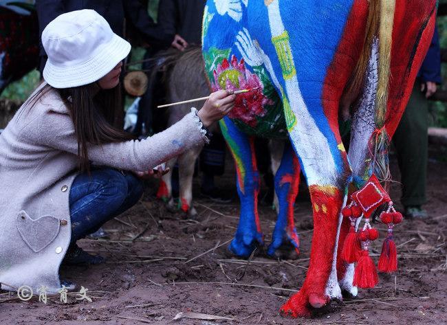 水牛身上画画,水牛身上画了牛郎织女画面