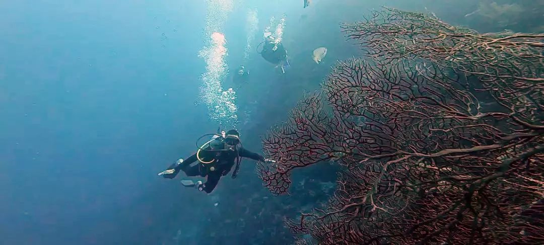 他一人一车环游五大洲，遭连环抢劫，却看见最美的风景