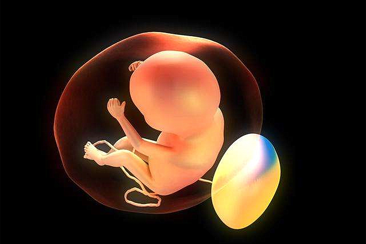 胎儿也会“打嗝”?别误以为是胎动,这几点需要孕妈妈们注意