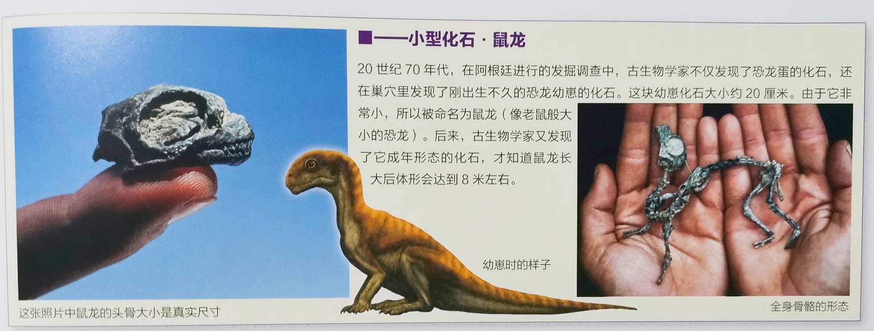 跪了！科普界天花板！恐龙迷们不要犹豫