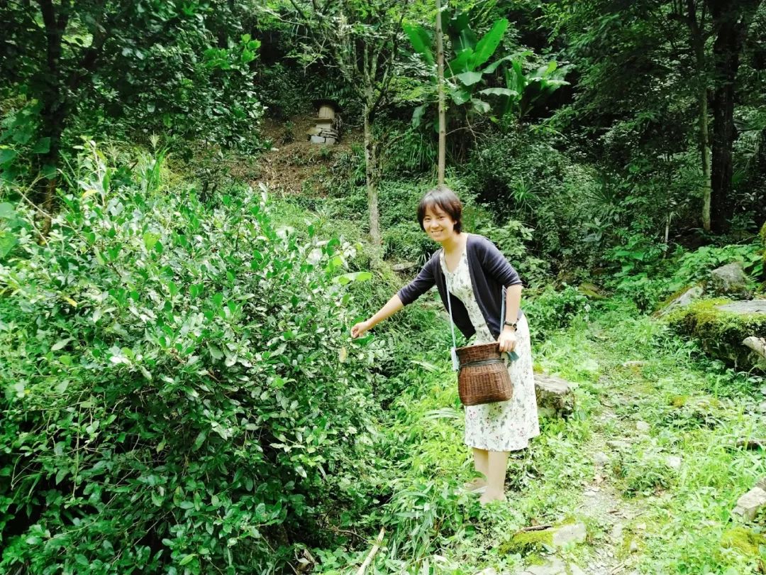 恩施鹤峰旅游攻略一天,恩施鹤峰旅游攻略