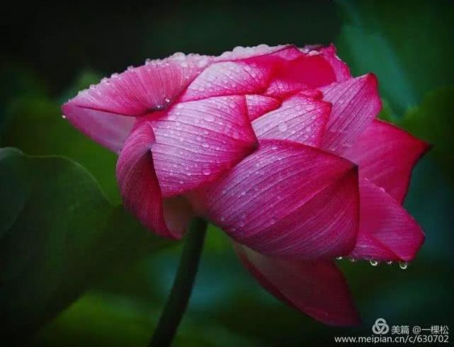 西乡周边景色美的地方,西乡哪里有夜景好看的