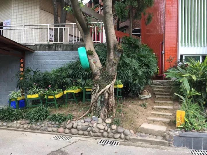 4.13重庆逐梦歌乐山上的“巴学园”探索“世界级乡村幼儿园