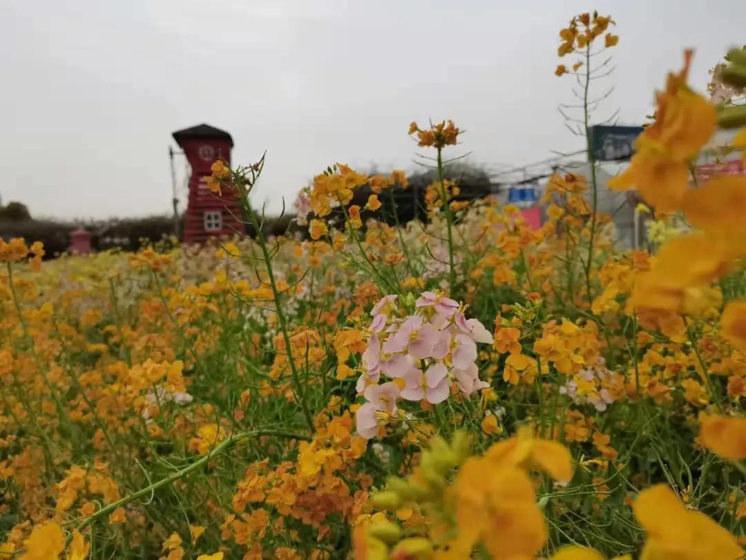 汉川5天周边游攻略,汉川徒步旅游攻略一日游