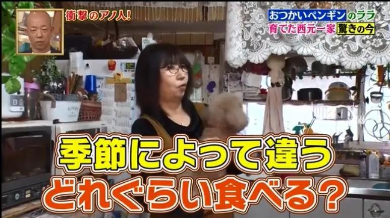 去世的企鹅复活,死去的企鹅