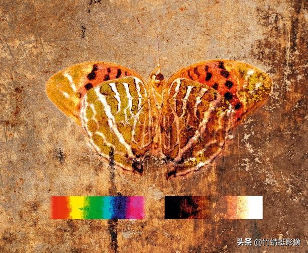 ps图层混合模式线性光在哪里,ps合并图层如何保留混合模式效果