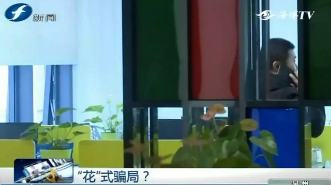 就是这些花……泉州有人为它花了几百万！