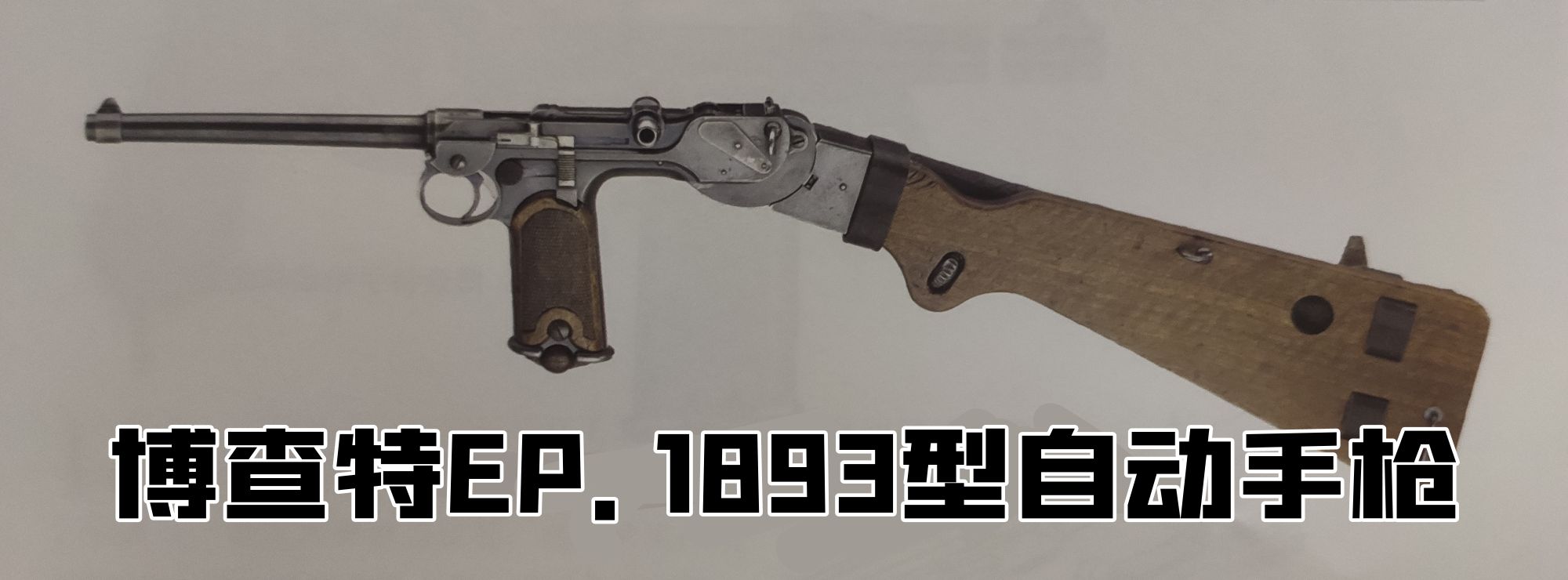 英国枪史图册全篇,德国枪图片