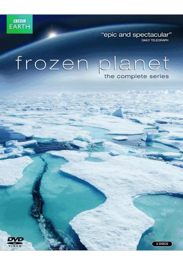 bbc纪录片揭露残忍人类对待动物,bbc动物纪录片造假事件