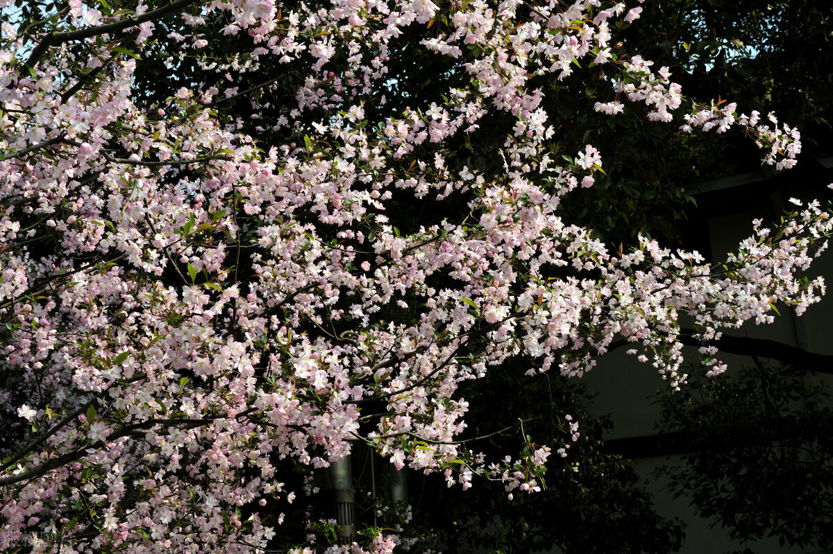 十本入坑网文,四本完结多年依旧无法超越的网文