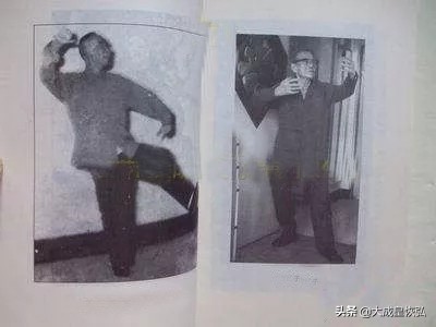 大成拳入门及养生书,大成拳养生桩治哪些病