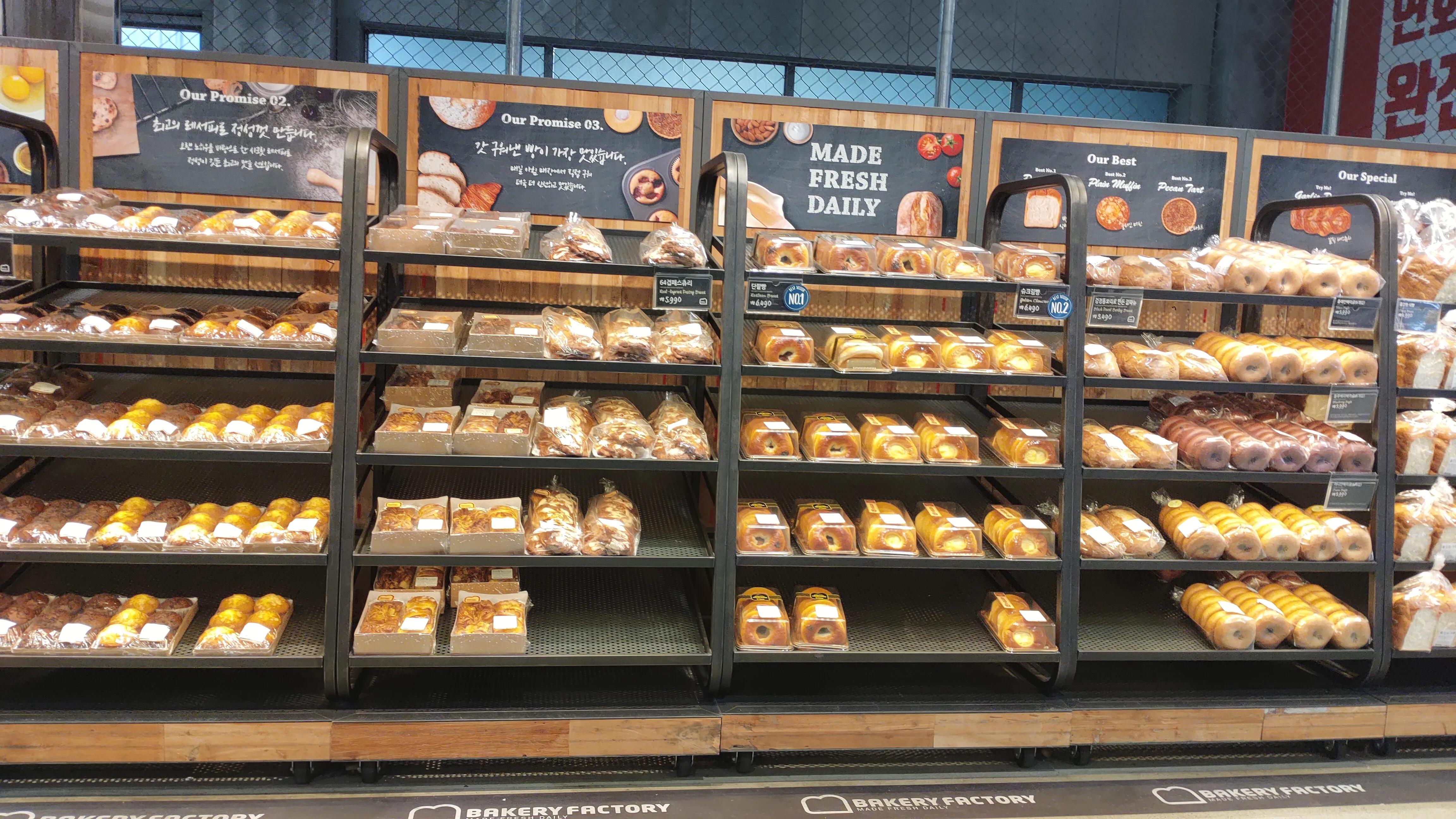 首尔layered咖啡,首尔很多萨摩耶的地方