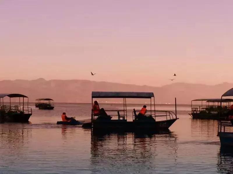 手机摄影好看的优秀作品,手机拍100个高逼格摄影作品