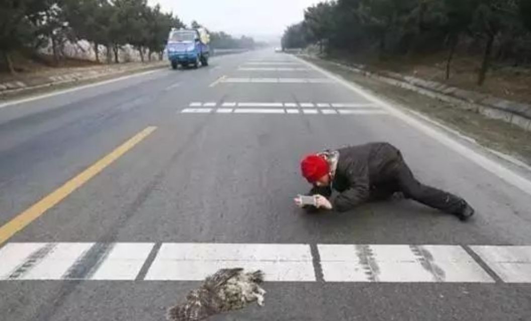 每个生命都值得被虐待,任何生命都不该被虐待