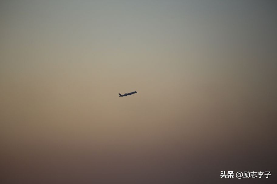 宁夏候鸟,候鸟监测简报