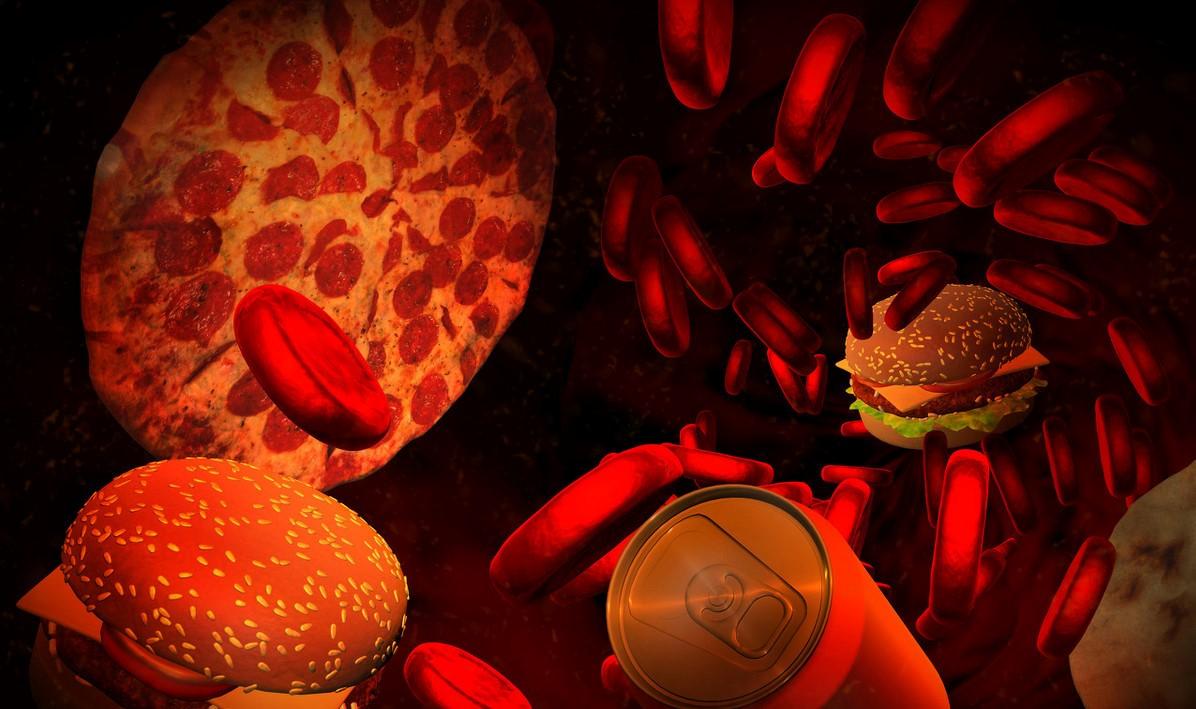 血脂高要怎样控制,怎么才能有效的控制血脂高