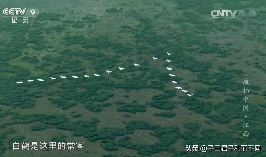 航拍中国江西完整版,航拍中国鄱阳湖