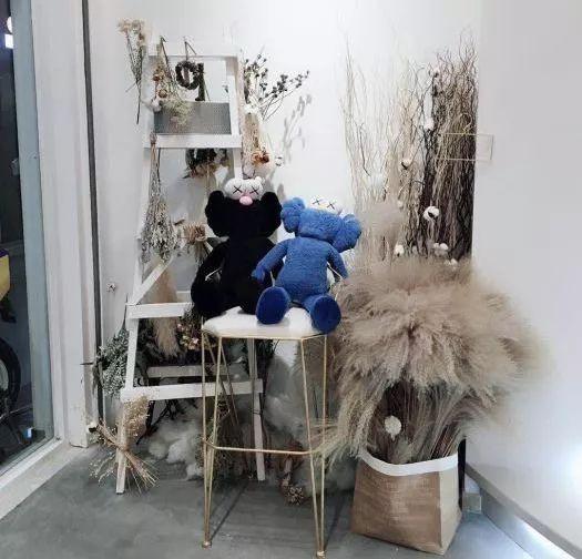 适合带猫咪下午茶好去处,佛山南海区猫咪推荐