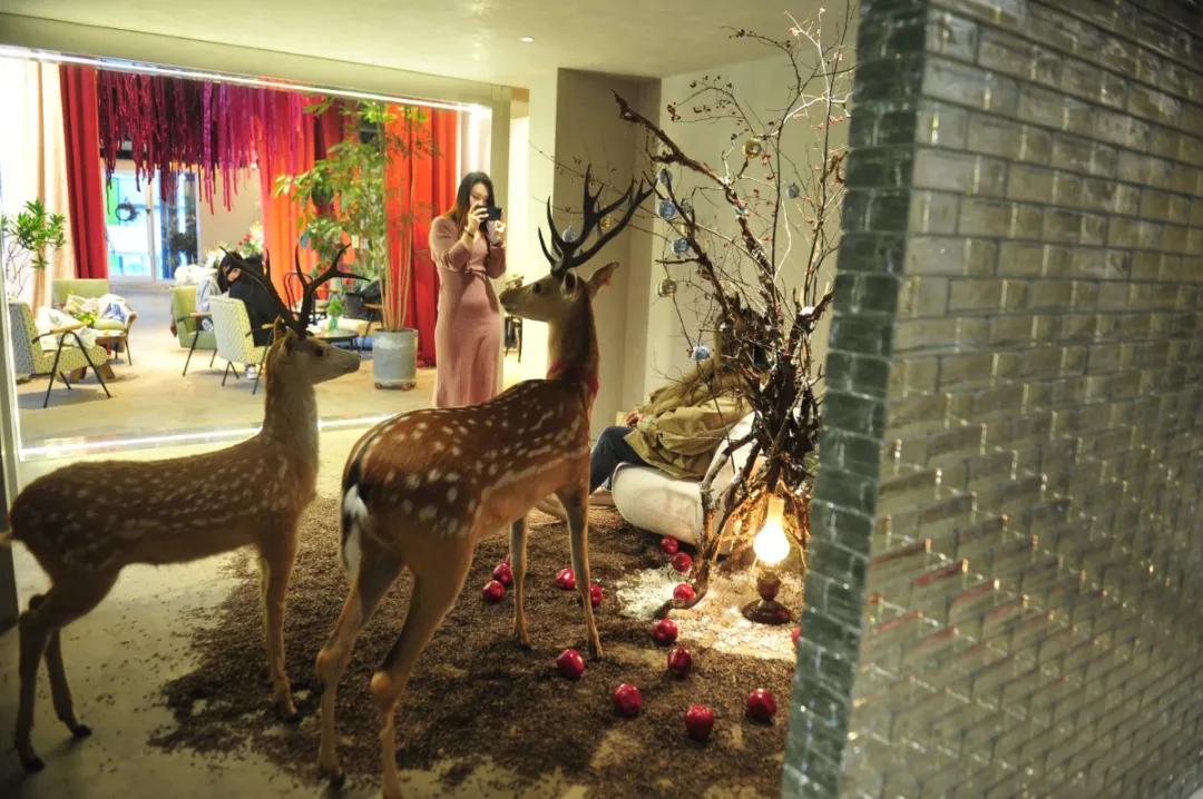 打卡网红地朋友圈,适合春天的网红打卡点