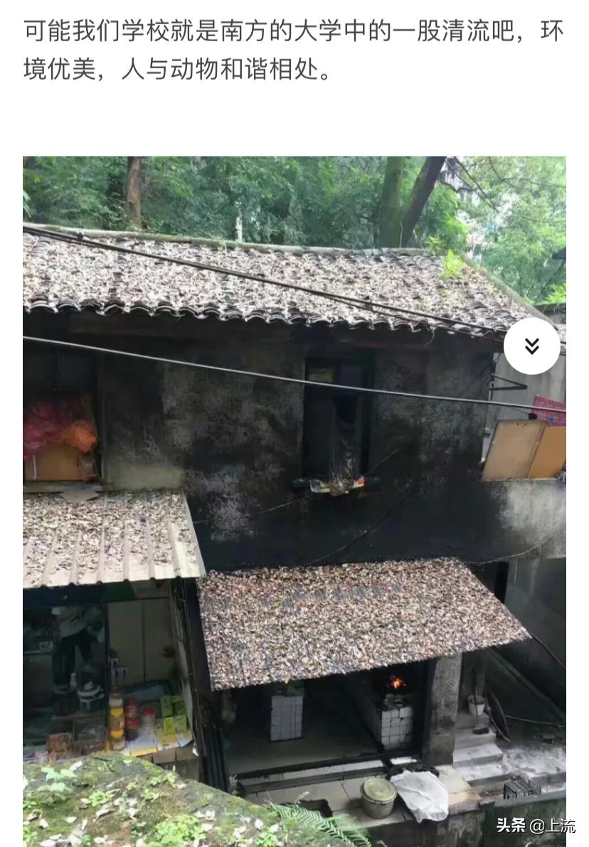 北方大学宿舍烂成什么样,为什么北方大学宿舍条件普遍差