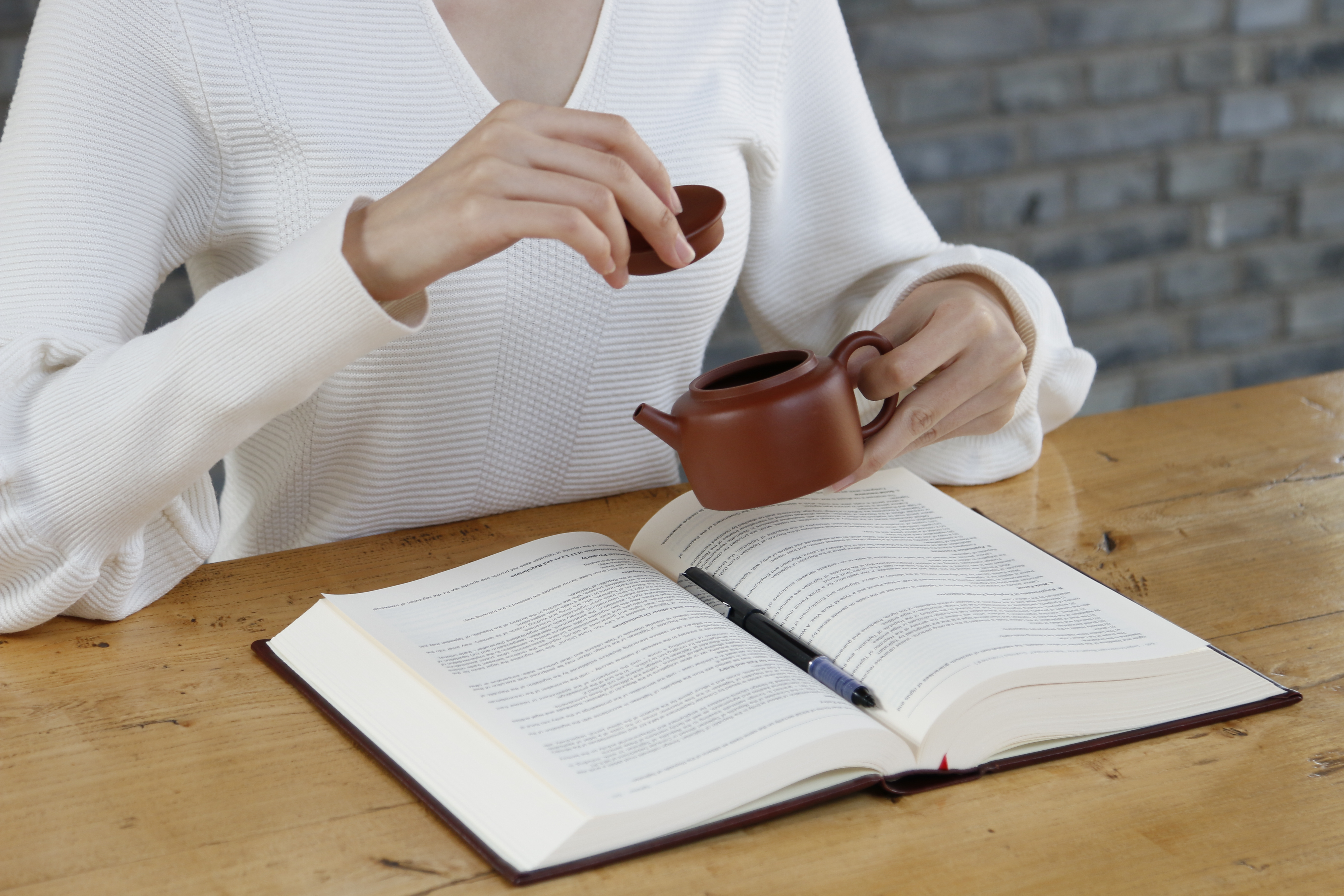 功夫茶正确泡法图解,功夫茶泡哪种茶比较好