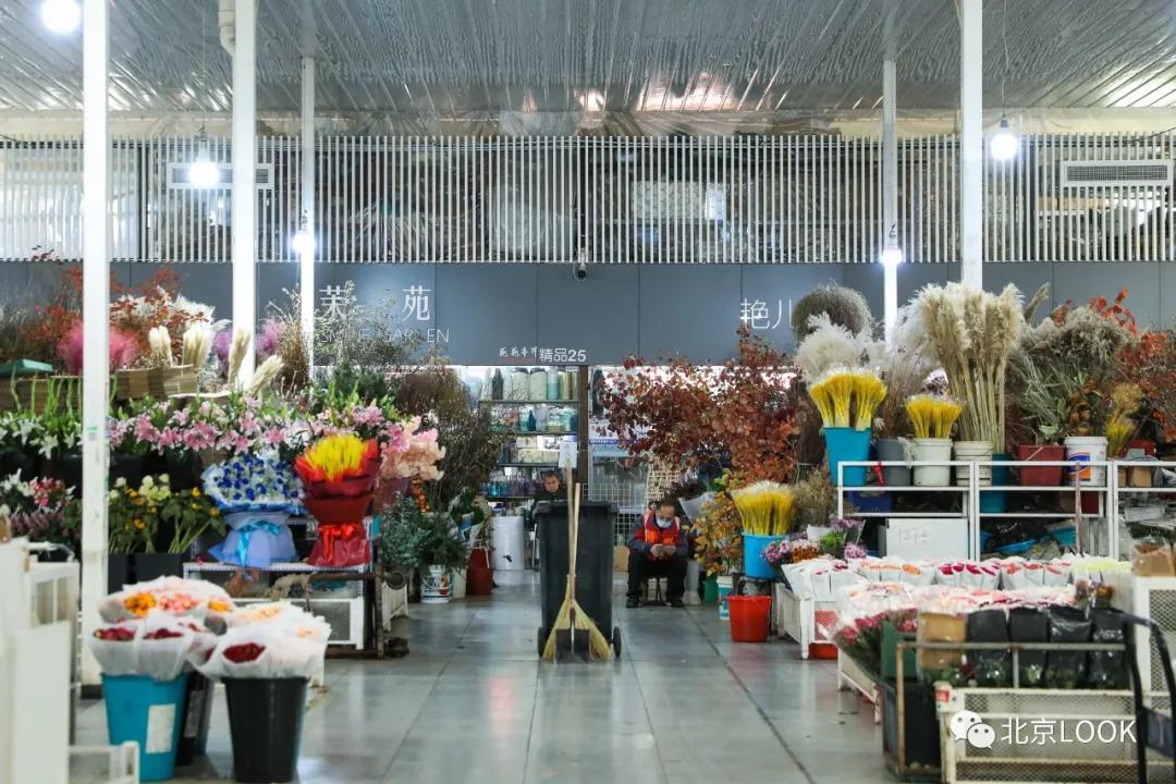 北京最大的露天花卉,北京最大的花卉大观园