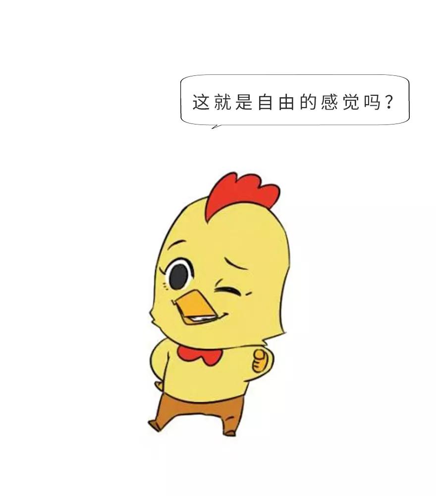 穿三角裤的男生正常吗,穿三角裤跟四角裤的男生区别