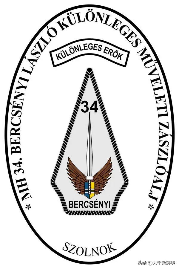 世界十大经典特种作战,世界十大特种部队战绩极为经典