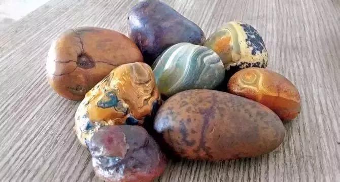 被捧红的各类新玉种究竟什么来头,目前的新玉种有多少