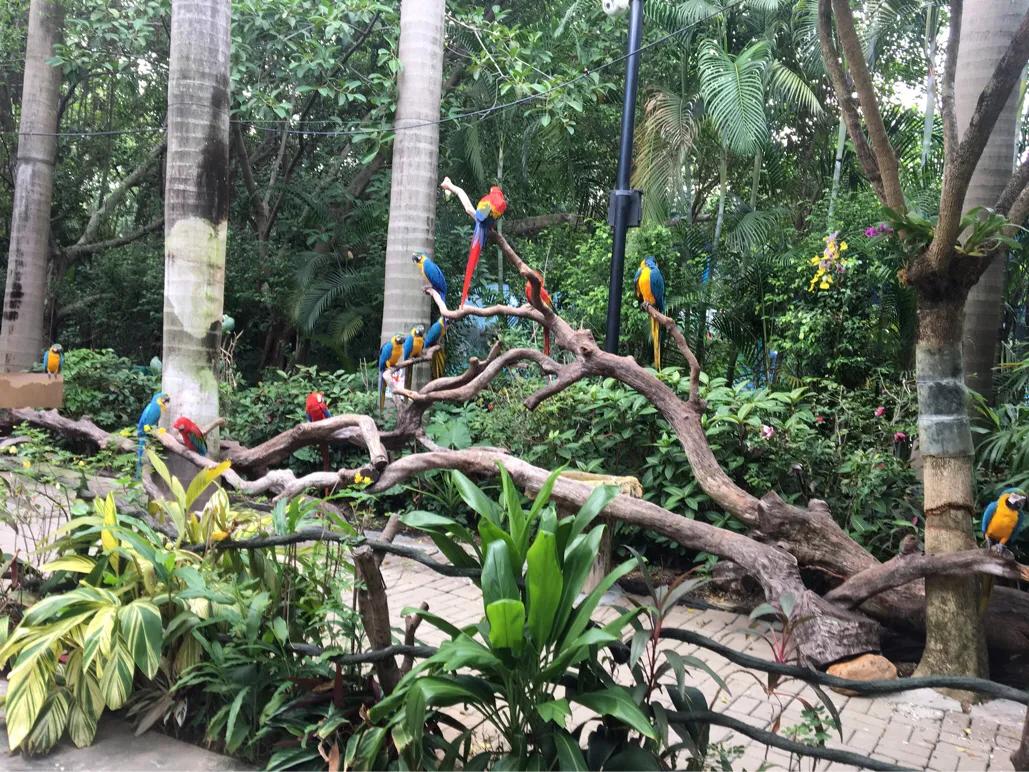 广州长隆最全游玩攻略亲子,长隆旅游攻略亲子