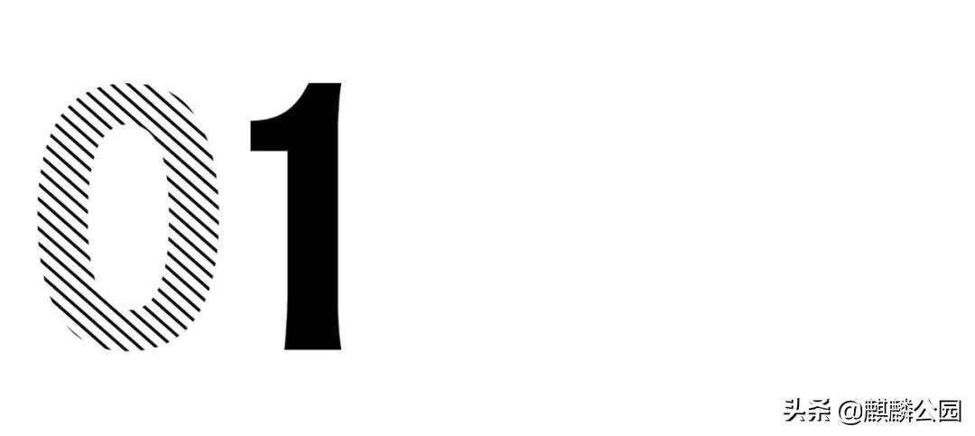 哪哪都有你|最大的国企美国邮政（USPS），快被特朗普搞破产了？
