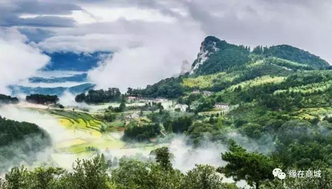 「品读」我的前男网友——以后真的不单独见面吗?/江河之王