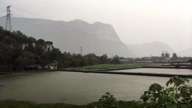 我与青创智慧创业的故事,我与青创的故事