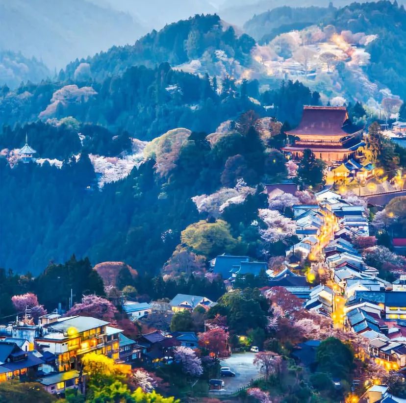 日本赏樱花前三名城市,日本樱花排行榜