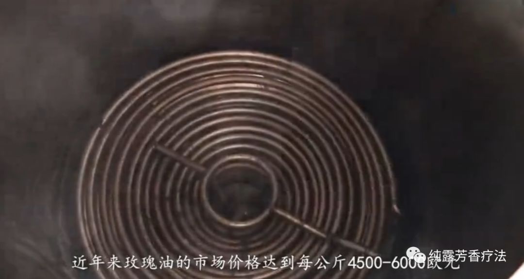 玫瑰细胞液是什么功效,大马士革玫瑰细胞液