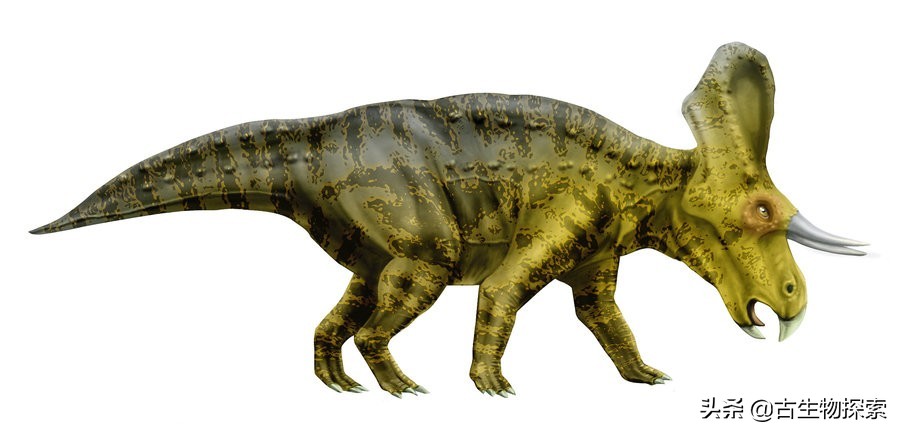 原始暴龙和原始大猩猩,发现远古传说中的霸王龙