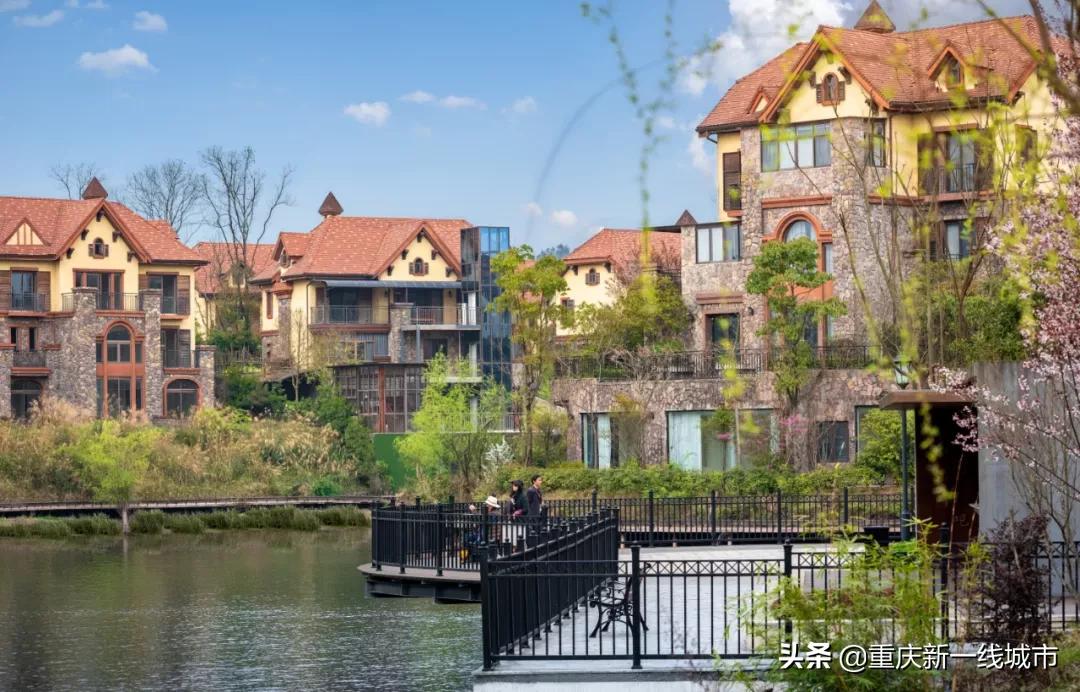 闇嶆牸娌冨吂鍩庡牎鍒,璐甸槼闇嶆牸娌冭尐鍩庡牎