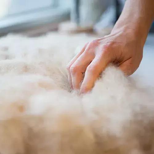 变废为宝绵羊毛衣,变废为宝旧毛衣