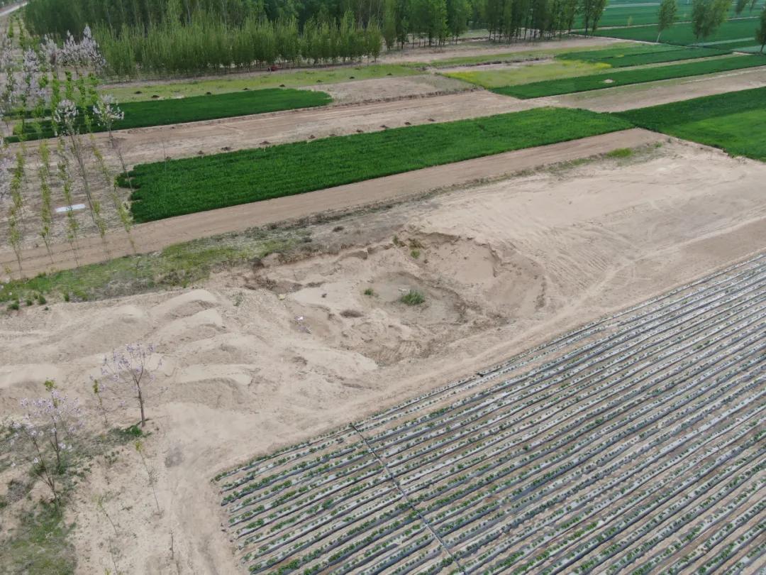 盗采沙子100万如何处理,盗采多少沙子违法