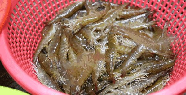 比顺德潮汕还生猛的海鲜之城,好吃到打个飞的也要去一趟