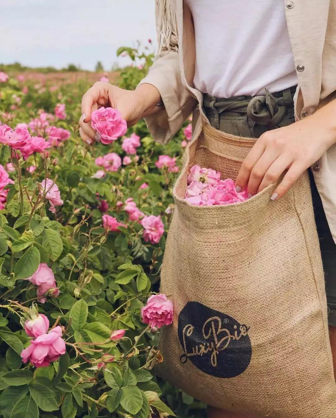 丹泽欧雅,丹泽欧雅富勒烯多肽焕颜面膜