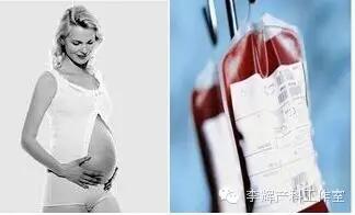 什么是熊猫血？Rh阴性血（熊猫血）妊娠时的二三事