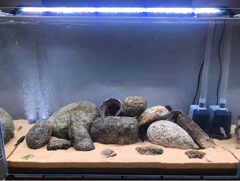 水族箱漏水了维修电话,水族箱底部漏水修理